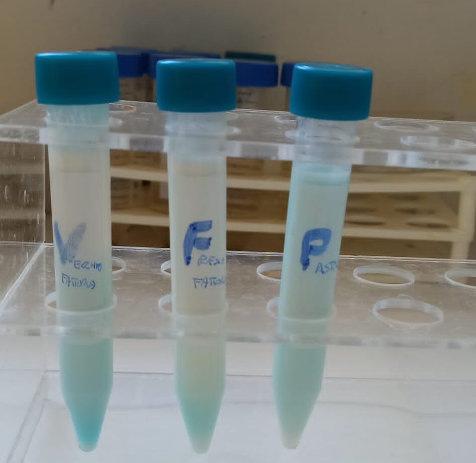 Laboratori