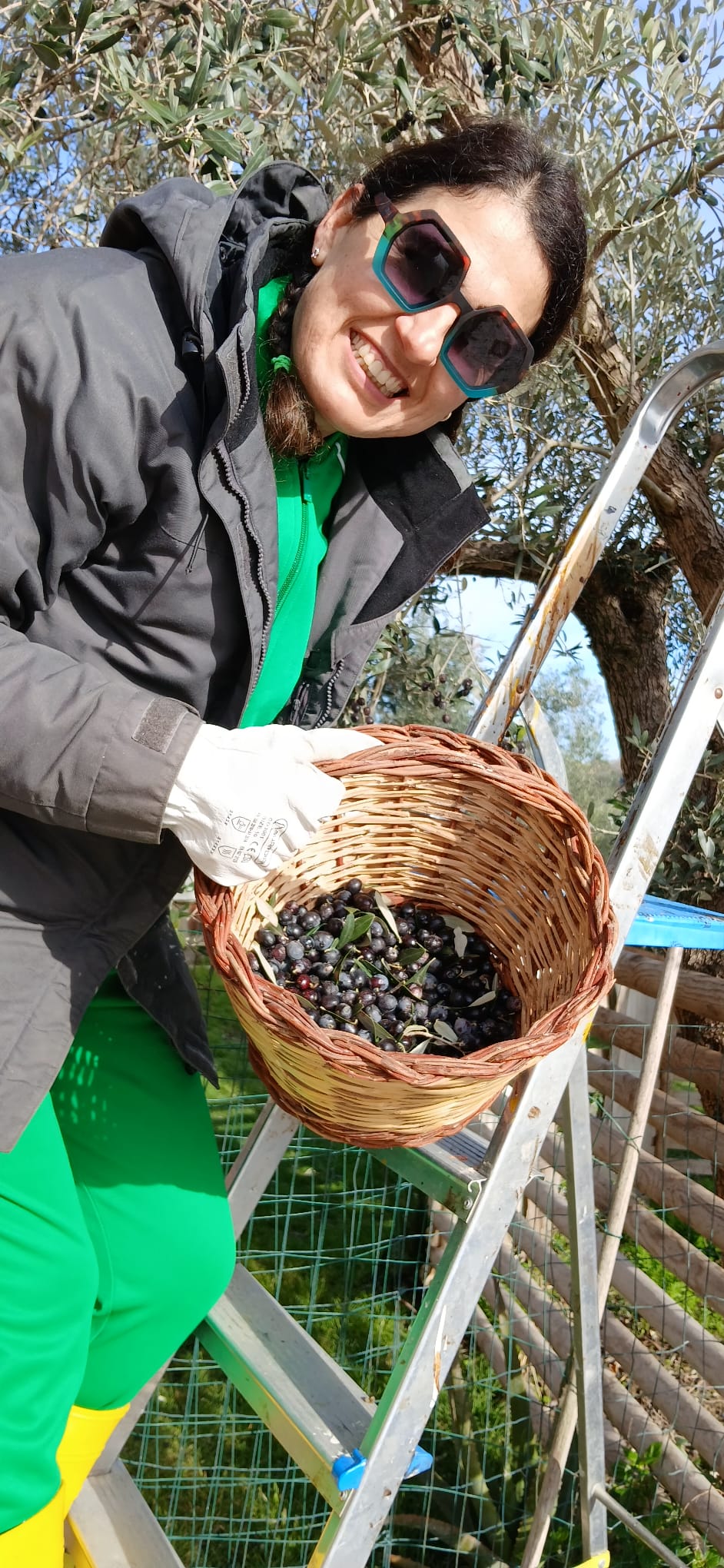 Il nostro Olio